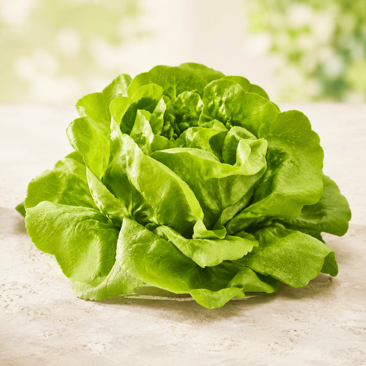 Salată verde Grana Farm